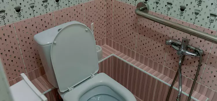 Meeting Diverse Needs With Accessible Restroom Solutions in Pickerington, OH