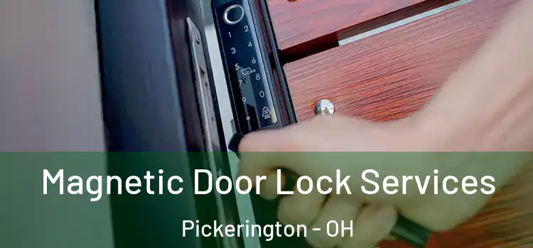 Magnetic Door Lock Services Pickerington - OH