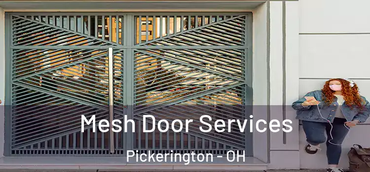 Mesh Door Services Pickerington - OH