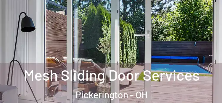 Mesh Sliding Door Services Pickerington - OH